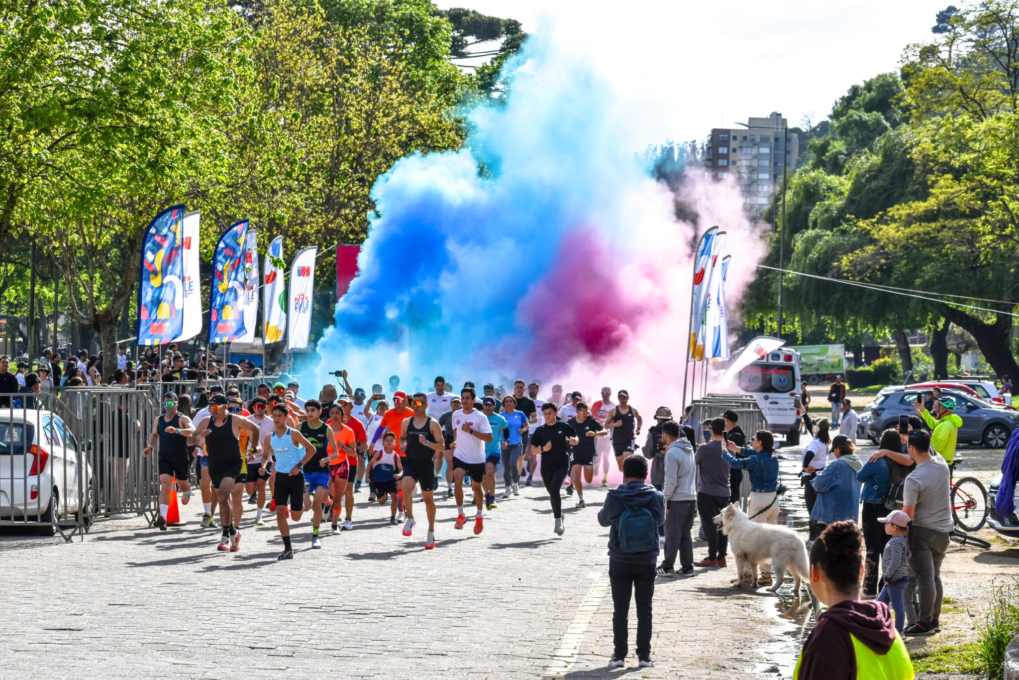 Carnaval A Mover Chile Biobío 3K y 5K